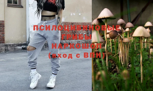 крисы Богданович