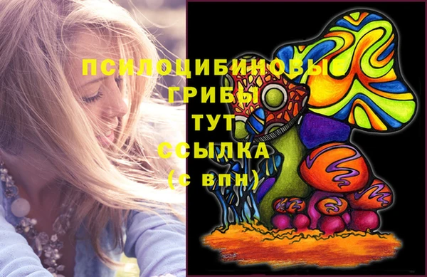 гидропоника Богородск